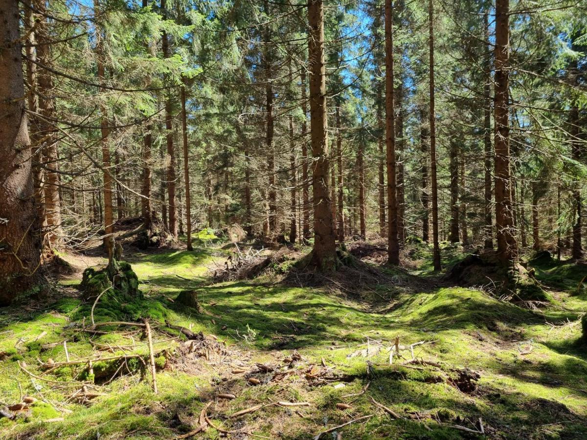 Apartman Felix Vaclavov u Bruntalu Exteriör bild